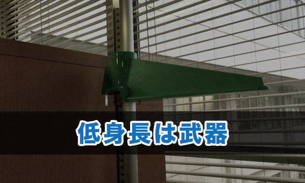 低身長は武器である