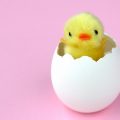 大人になりきれない30代