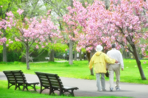 婚活で相手と付き合う決め手は何？